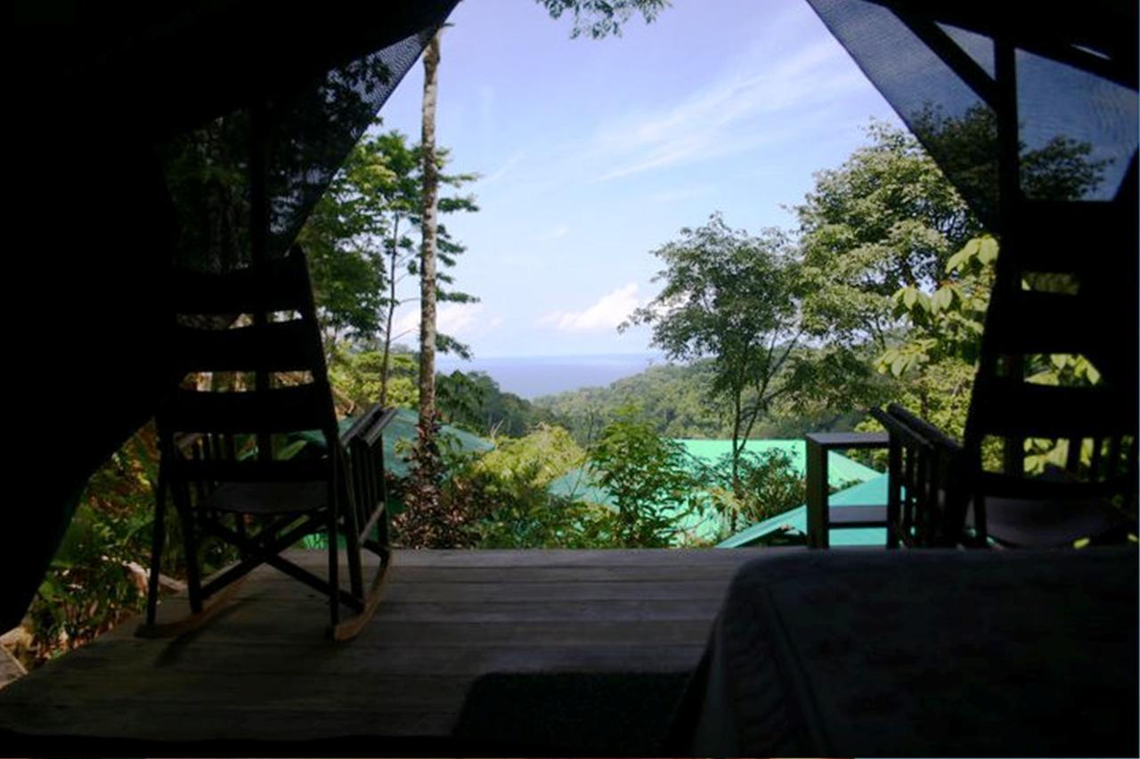 Luna Lodge Carate Rum bild